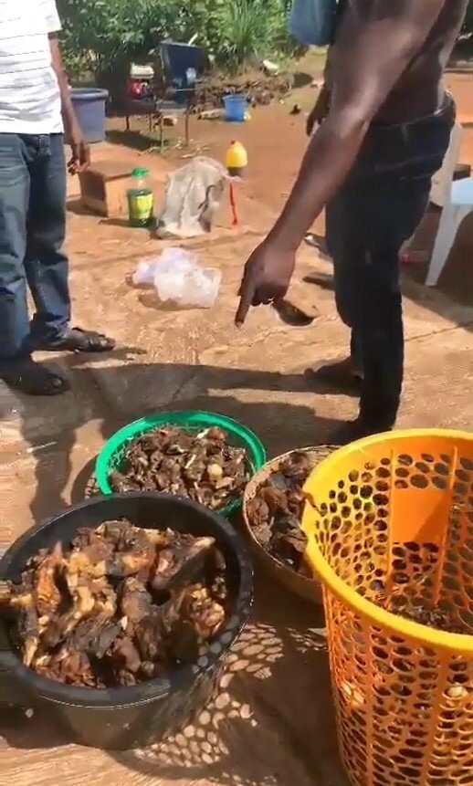 Lady get shocked after her hired caterer secreted fried meat and fish prepared her guests with purpose of taking them home (Video),