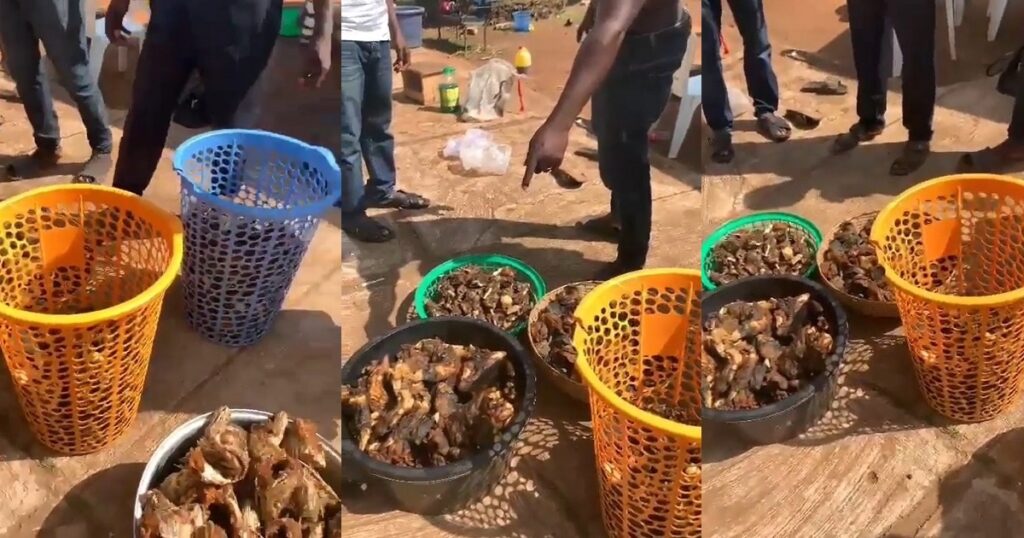 Lady get shocked after her hired caterer secreted fried meat and fish prepared her guests with purpose of taking them home (Video),