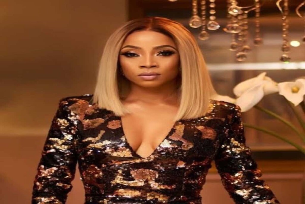 ‘If no one will, I will give myself a pat on the back’ Toke Makinwa to critics against her being a host of Gulder Ultimate Search