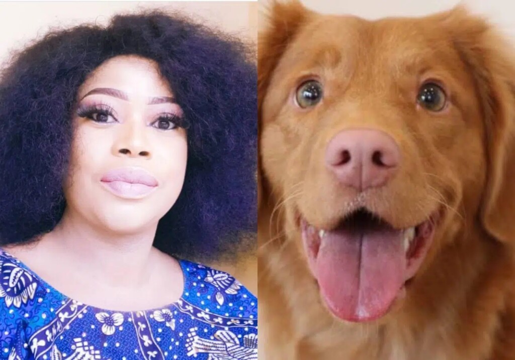 My boyfriend prefers spending money on his dogs than on me — Actress Abimbola Akisanya reveal