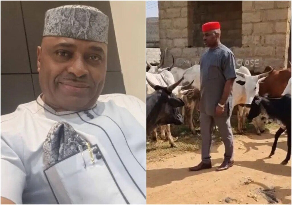 How can humans and animals be at war over who has the right of way? Actor Kenneth Okonkwo get scared as he walks amongst herd of cattle