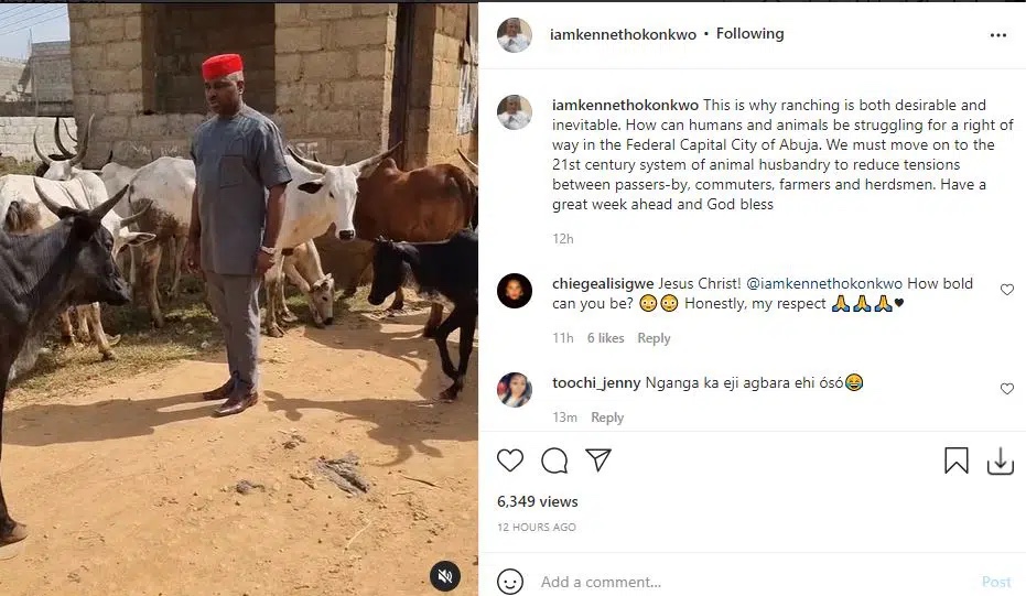 How can humans and animals be at war over who has the right of way? Actor Kenneth Okonkwo get scared as he walks amongst herd of cattle