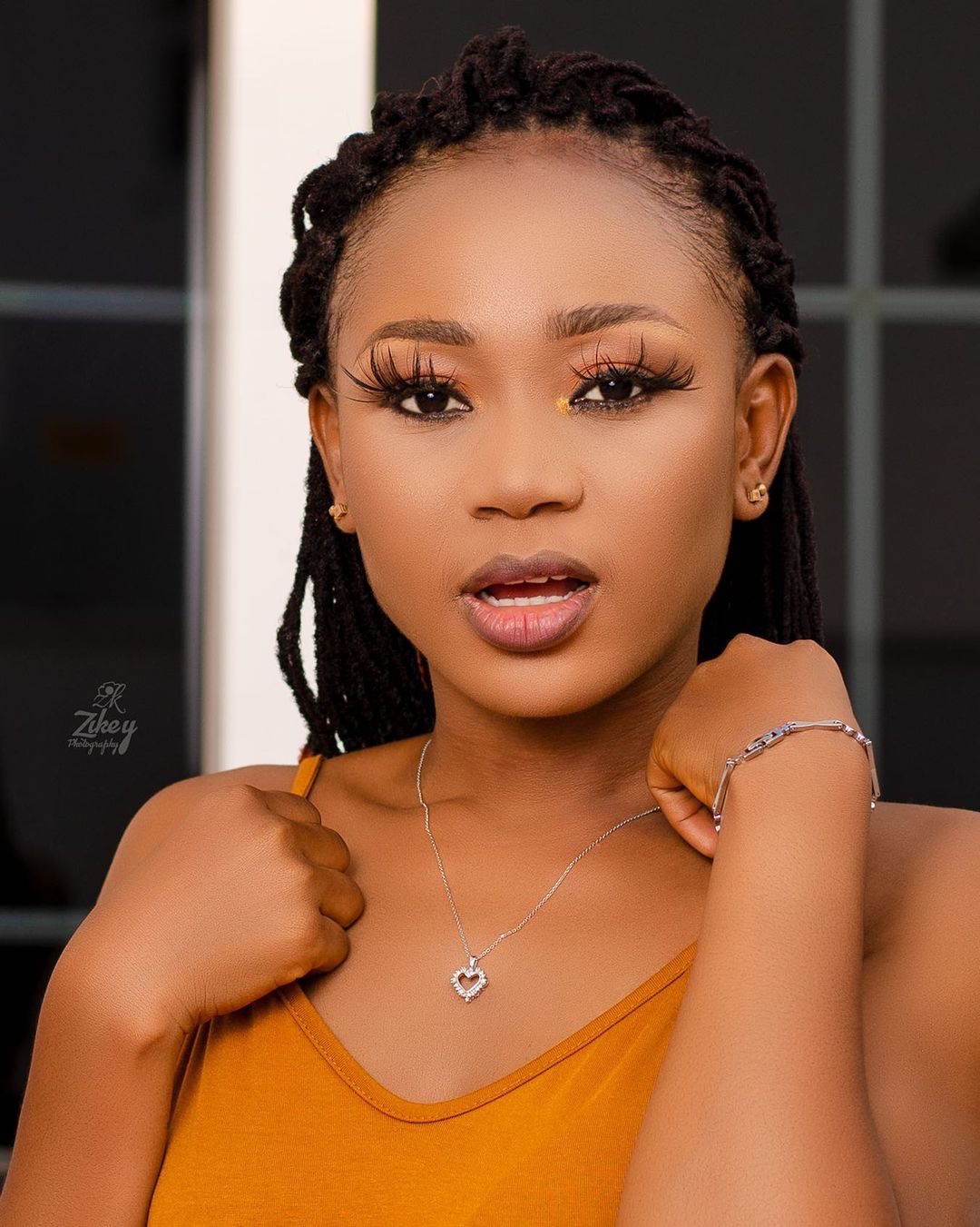 Actress, Akuapem Poloo who shared unclothed photos with son sent back to prison after her appeal was dismissed by the court