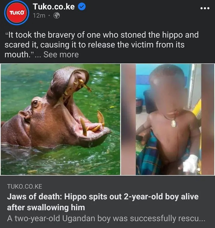 "There Is Nothing Impossible For God"– Just Like Jonah In The Bible; Hippo Spits Out 2-yr-old Boy Alive Hours After Swallowing Him