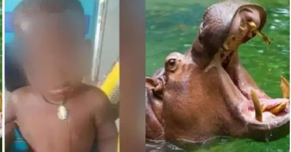 "There Is Nothing Impossible For God"– Just Like Jonah In The Bible; Hippo Spits Out 2-yr-old Boy Alive Hours After Swallowing Him