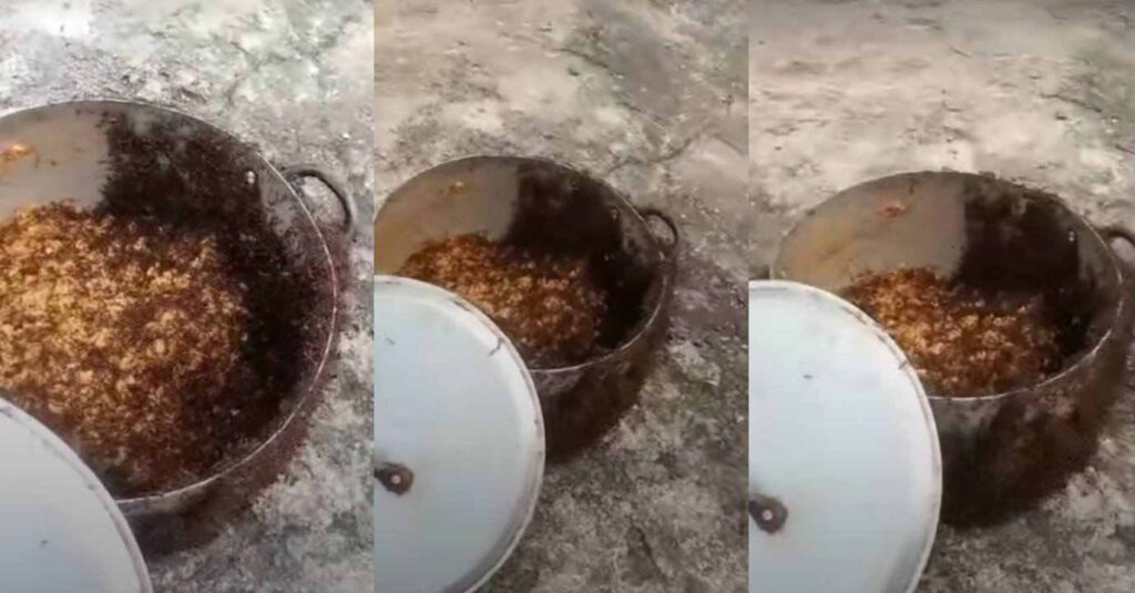 “When Your Village People Came To Eat”- Nigerian Lady Stir Reaction As She Shares Shocking Video of Solider Ants in Her Pot of Rice and Stew