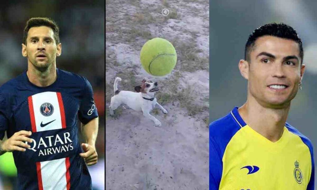 “Messi & Ronaldo no fit do this” – Video of a dog who balances ball on his head and raises it effortlessly sparks overwhelming reactions (Watch)