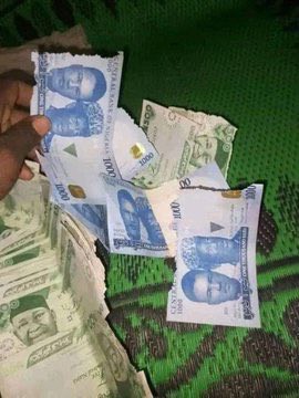 "Your Village People No Even Pity You At All"– Man Complain Bitterly, Punishes Rat For Eating His New Naira Notes